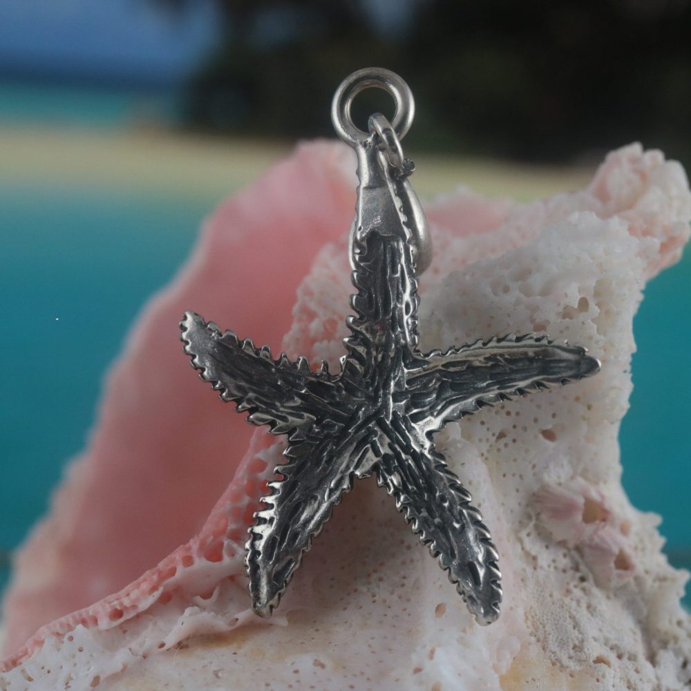 Sterling Silver Starfish CZ Fashion Pendant Necklace #N1148-01 – BERRICLE